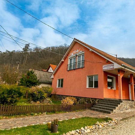 Hotel House Of Julia Sighișoara Zewnętrze zdjęcie
